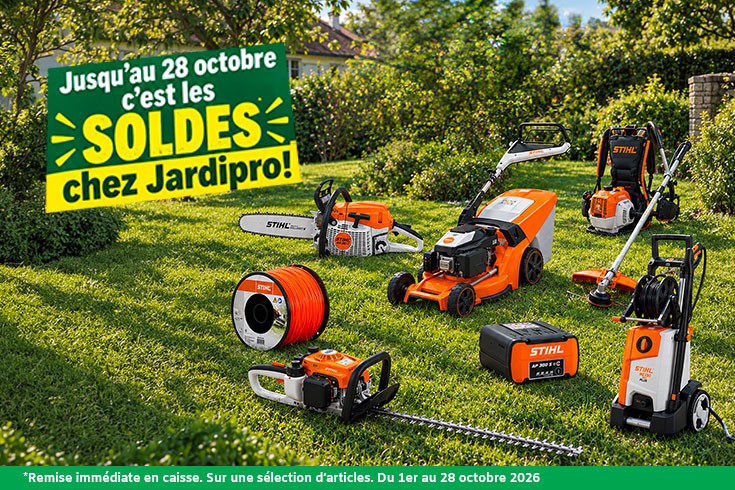 solde 2026